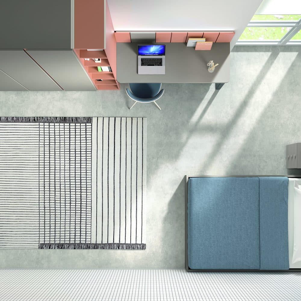 Nuestros mejores diseños en alegres y divertidos JUVENILES - Imagen 4